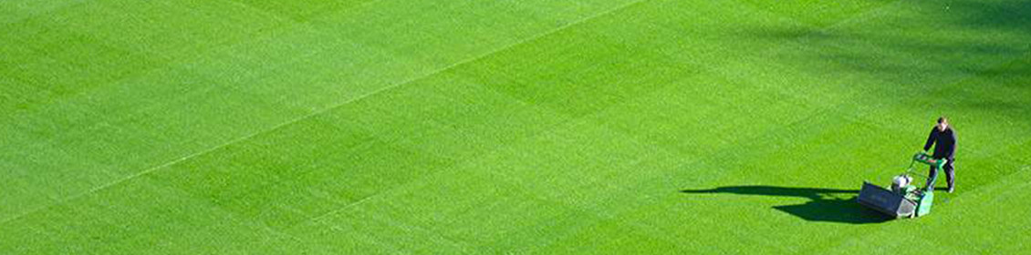 What type of pitch is the pune pitch
